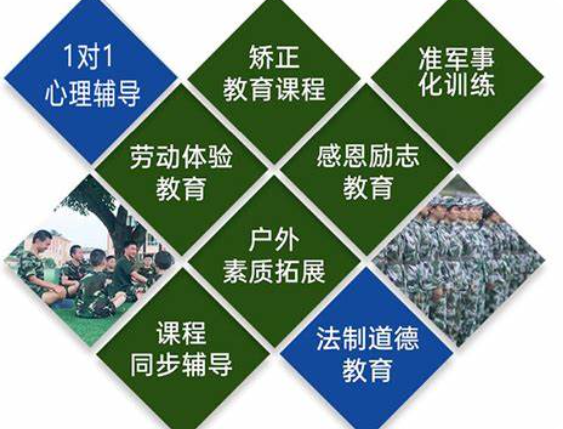 行为矫正课程展示